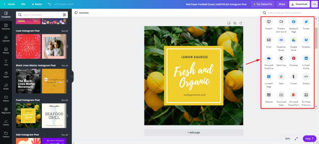 Options de partage gratuites de Canva