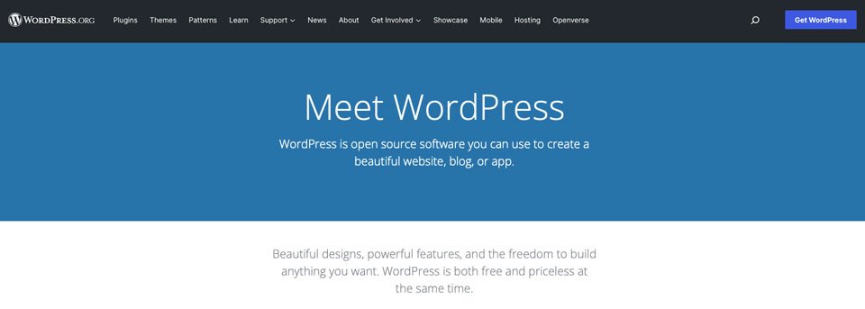 WordPress İYS