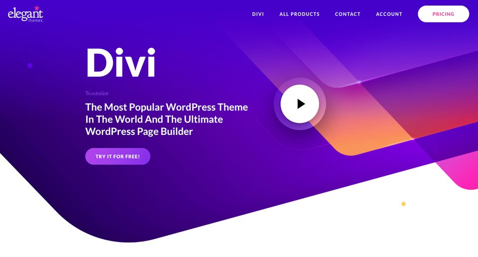 Divi WordPress Teması