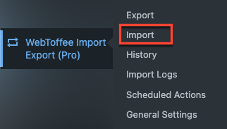 Option d'importation dans Webtoffee import export pro