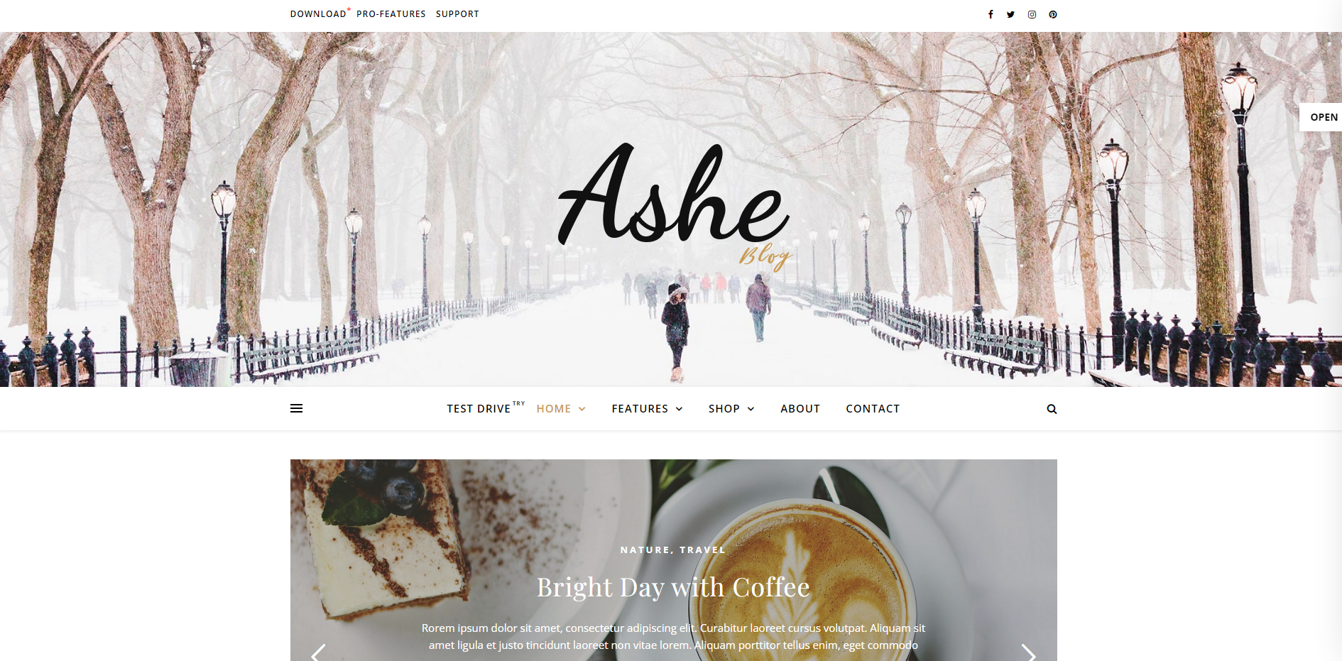 Ashe - temas femeninos de WordPress