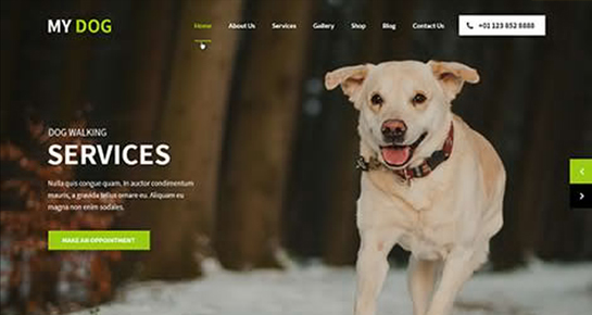 Thème WordPress pour chien