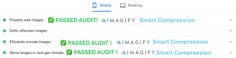 Audit réussi avec Imagify - Source : PageSpeed ​​Insights