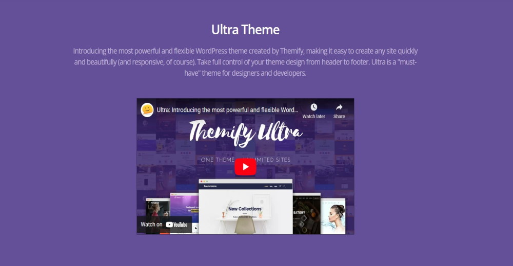 Offizielle Website des Ultra-WordPress-Themas