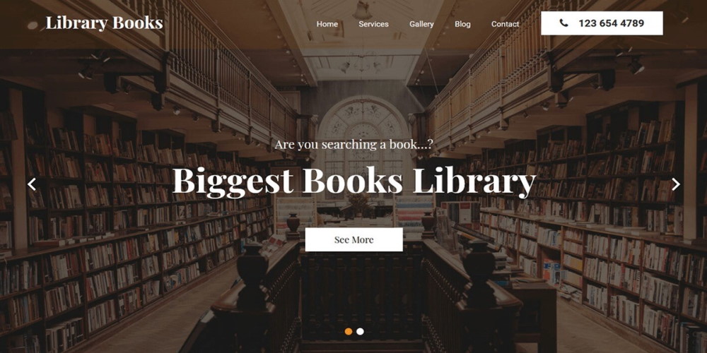 Bibliothek Bücher WordPress-Theme Demoseite