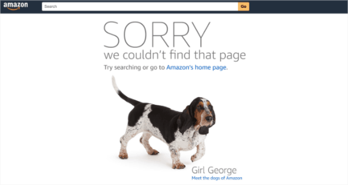 Amazon 404 hata sayfası örneği