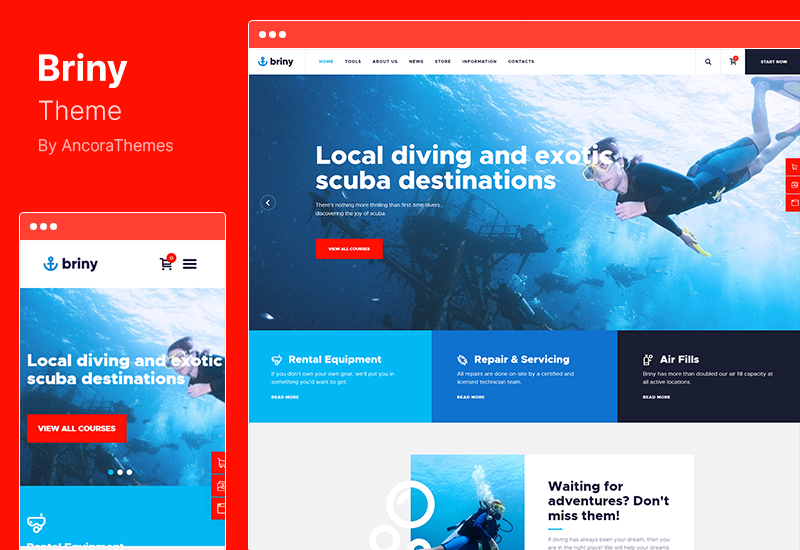 Briny Theme - 水肺潛水學校和水上運動 WordPress 主題