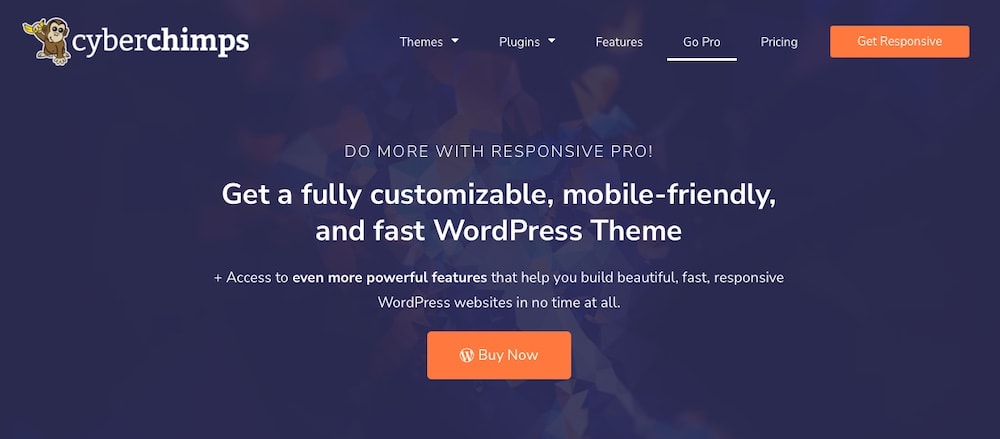 Responsive Pro WordPress-Theme