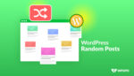 how-to-display-random-posts-in-WordPress