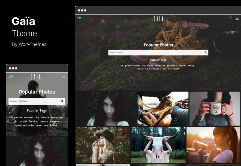 Gaia Teması - Fotoğraf ve Hazır Görüntüler WordPress Teması