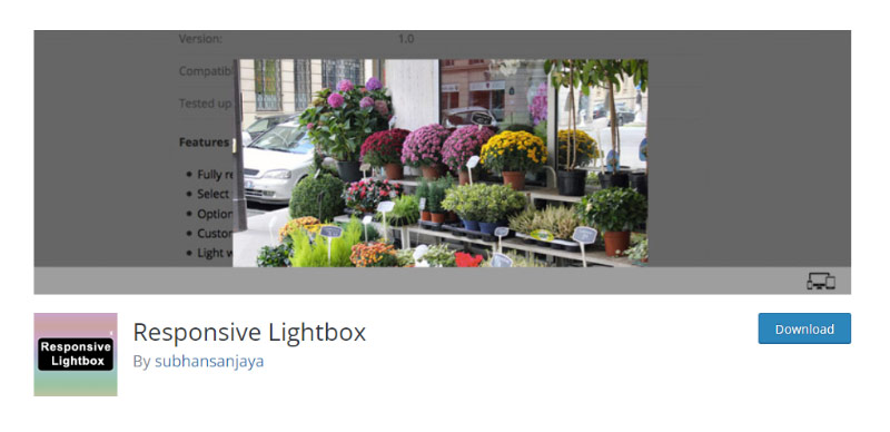 Responsive Lightbox