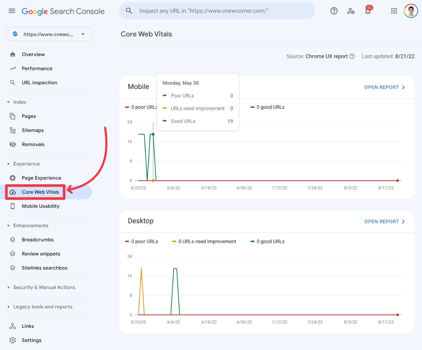 핵심 성능 보고서 Search Console