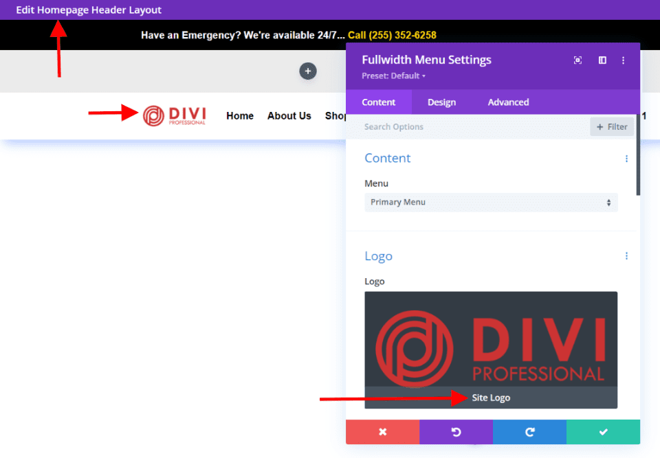 Divi Logosu Sonrası