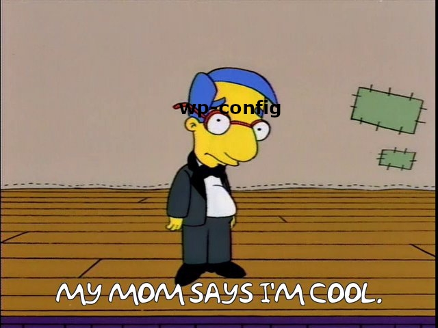 Milhouse จาก The Simpsons พร้อม "wp-config" ทั่วใบหน้าและคำบรรยายว่า "แม่ของฉันบอกว่าฉันเจ๋ง"