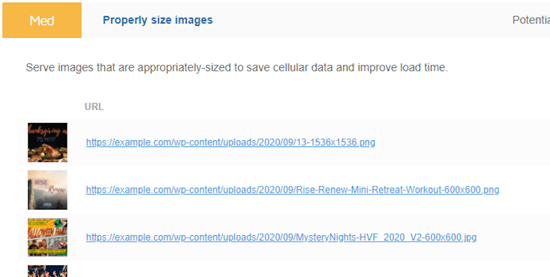 Audit des images correctement dimensionnées - Source : GTmetrix