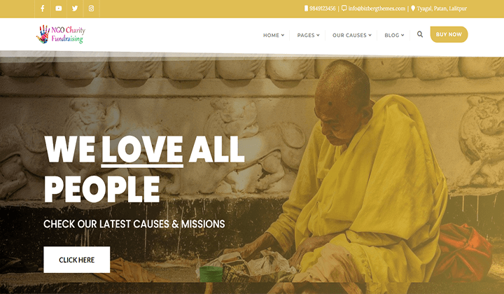 WordPress Themes for Charity and NGO