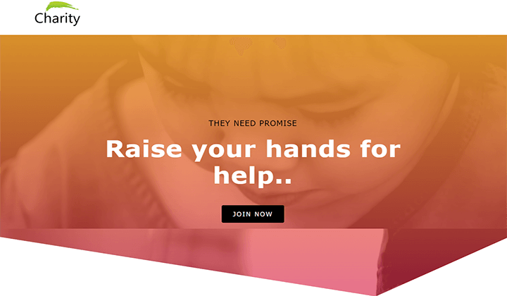 WordPress Themes for Charity and NGO