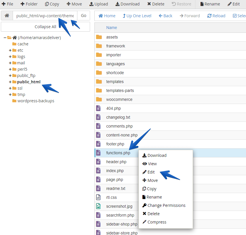 editar funciones.php a través de cPanel