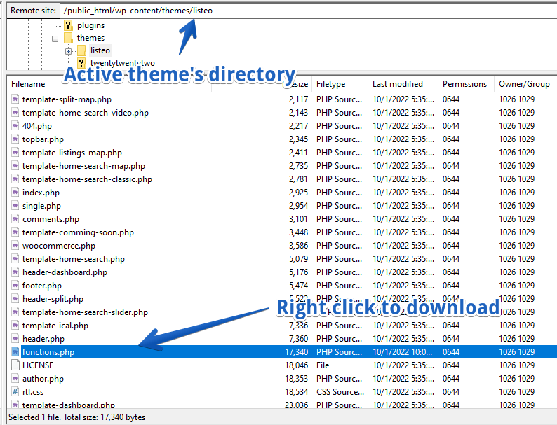 Descargue y edite el archivo functions.php a través del cliente FTP