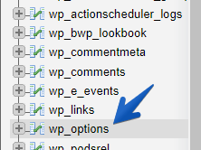 Tabla de opciones de WordPress en la base de datos de WP