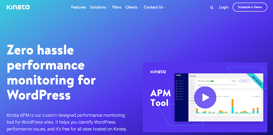 kinsta apm