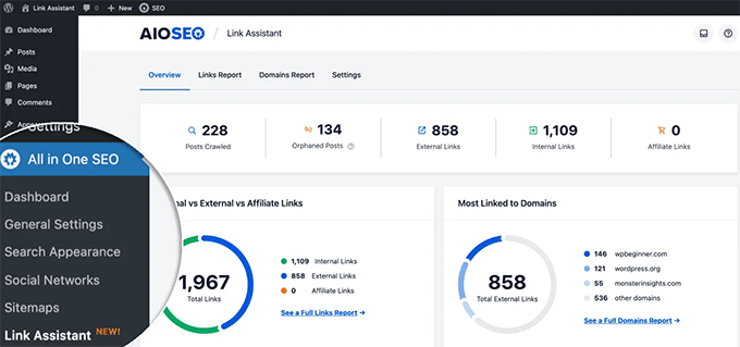 Hepsi Bir Arada SEO'da bağlantı asistanı