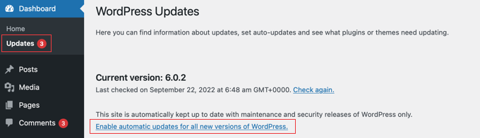 เปิดใช้งานการอัปเดต WordPress อัตโนมัติ