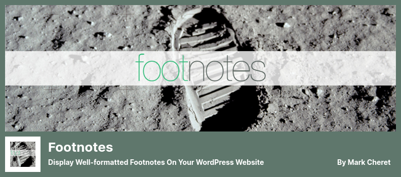 Footnotes Plugin - WordPress ウェブサイトに整形式の脚注を表示する