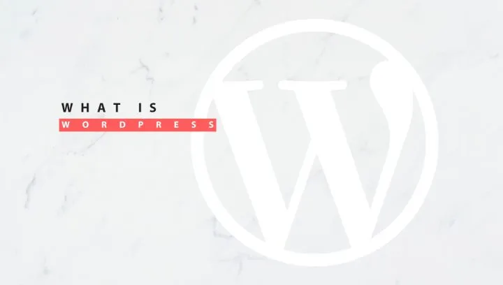 Başlıklı WordPress logosu – WordPress nedir