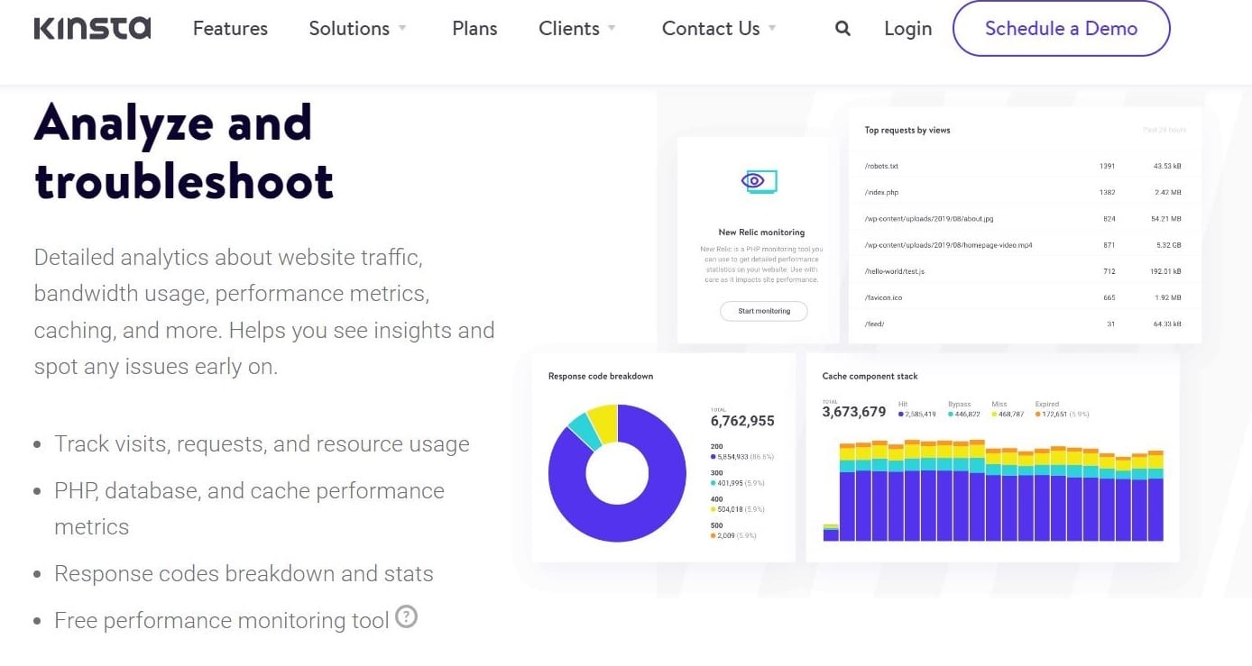 La page d'accueil de MyKinsta avec le titre "Analyser et dépanner".