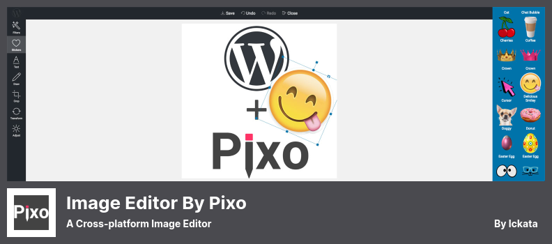 Editor de imagens do plug-in Pixo - Um editor de imagens multiplataforma