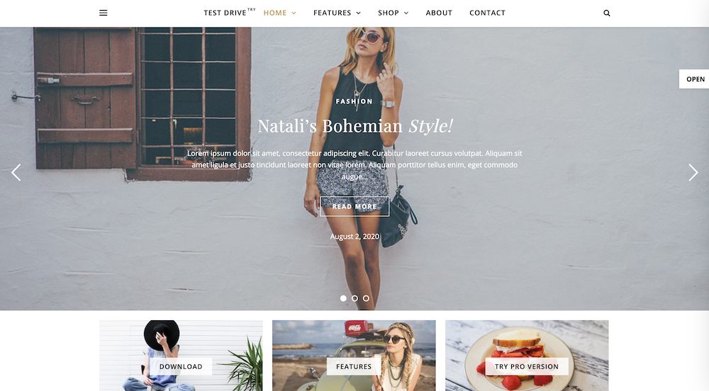 Asche WordPress-Theme