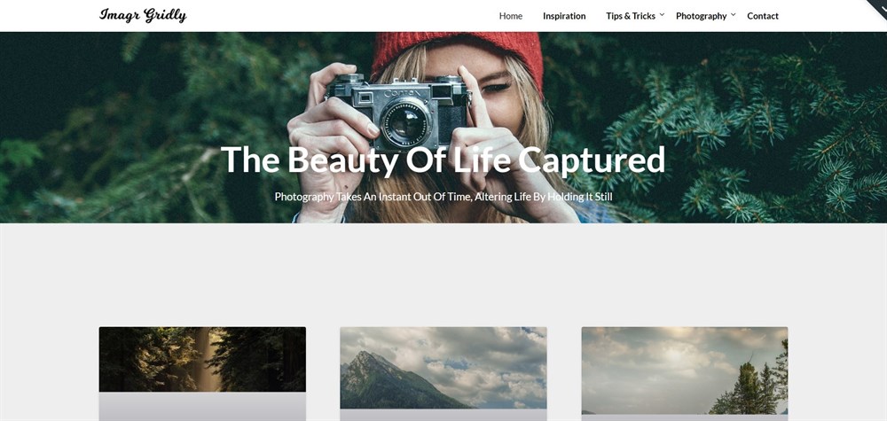 ImageGridly WordPress テーマのデモ