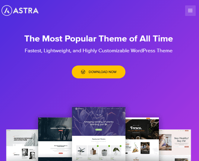 Motyw WordPress Astra