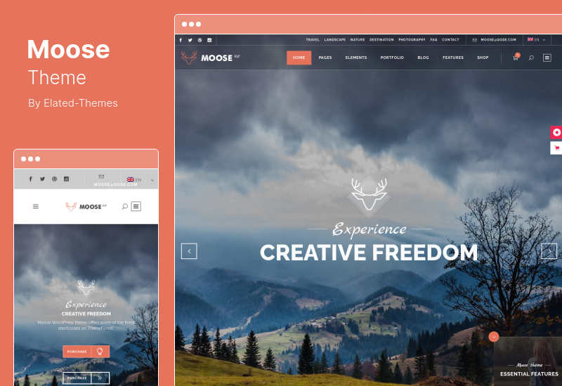 Moose Theme - ธีม WordPress อเนกประสงค์ที่สร้างสรรค์