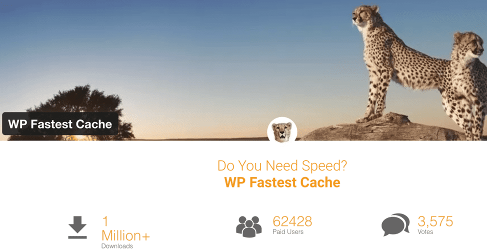 Cel mai rapid cache WP