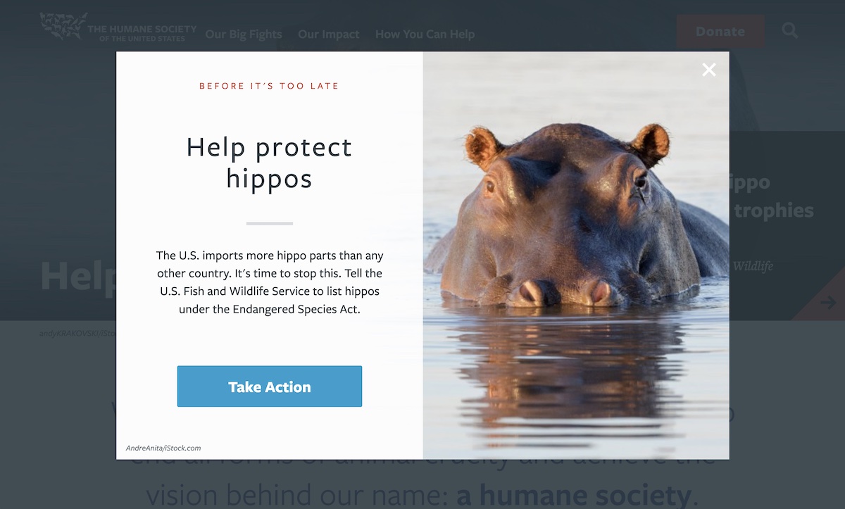 Popup exibido no site da Humane Society dos EUA