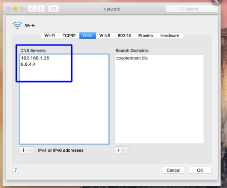 DNS servers in Mac