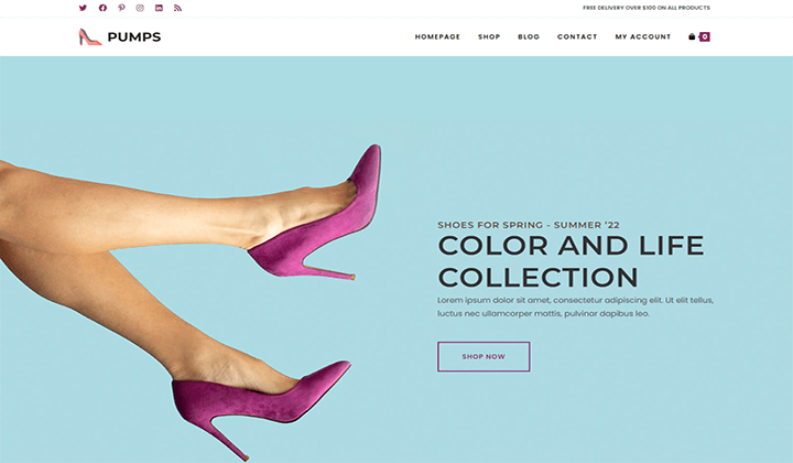  shoe store WordPress themes