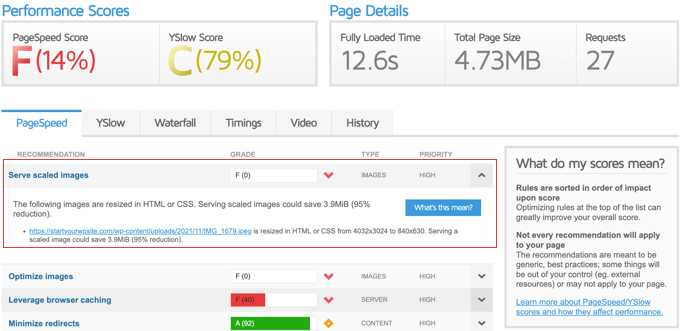 GMetrix はスケーリングされた画像の提供を推奨