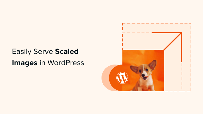 Como servir facilmente imagens dimensionadas no WordPress (passo a passo)