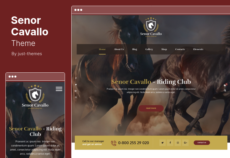 Senor Cavallo Theme - тема WordPress для клуба верховой езды