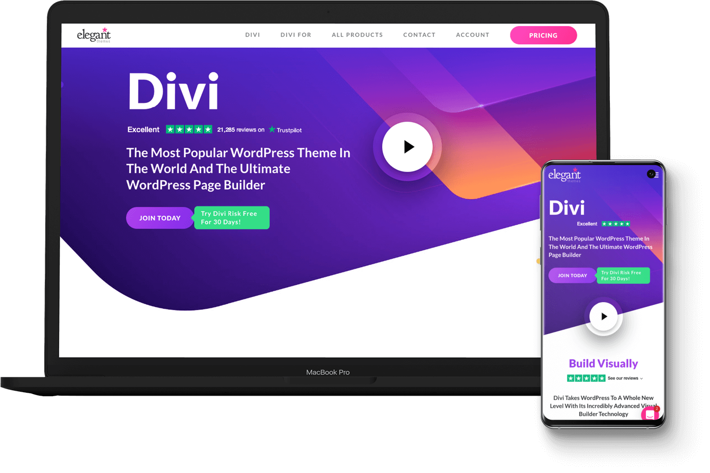 Макет темы Divi