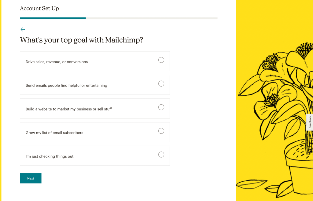 Obiettivi di Mailchimp