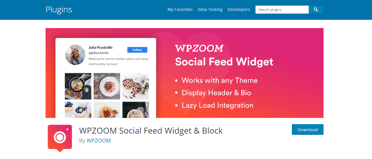 WPZOOM - Complementos de alimentación de Instagram de WordPress