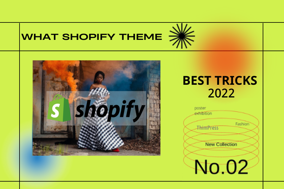 what shopify theme