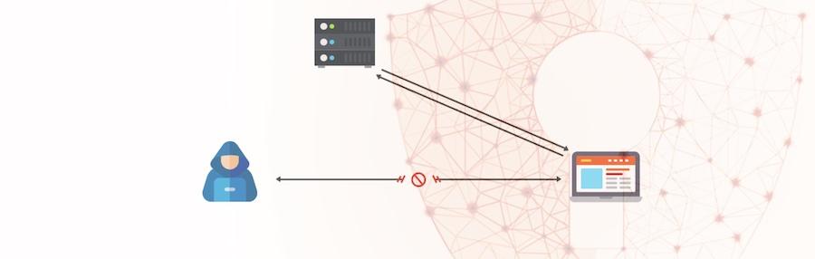 XSS-Schwachstellen-Plugin verhindern