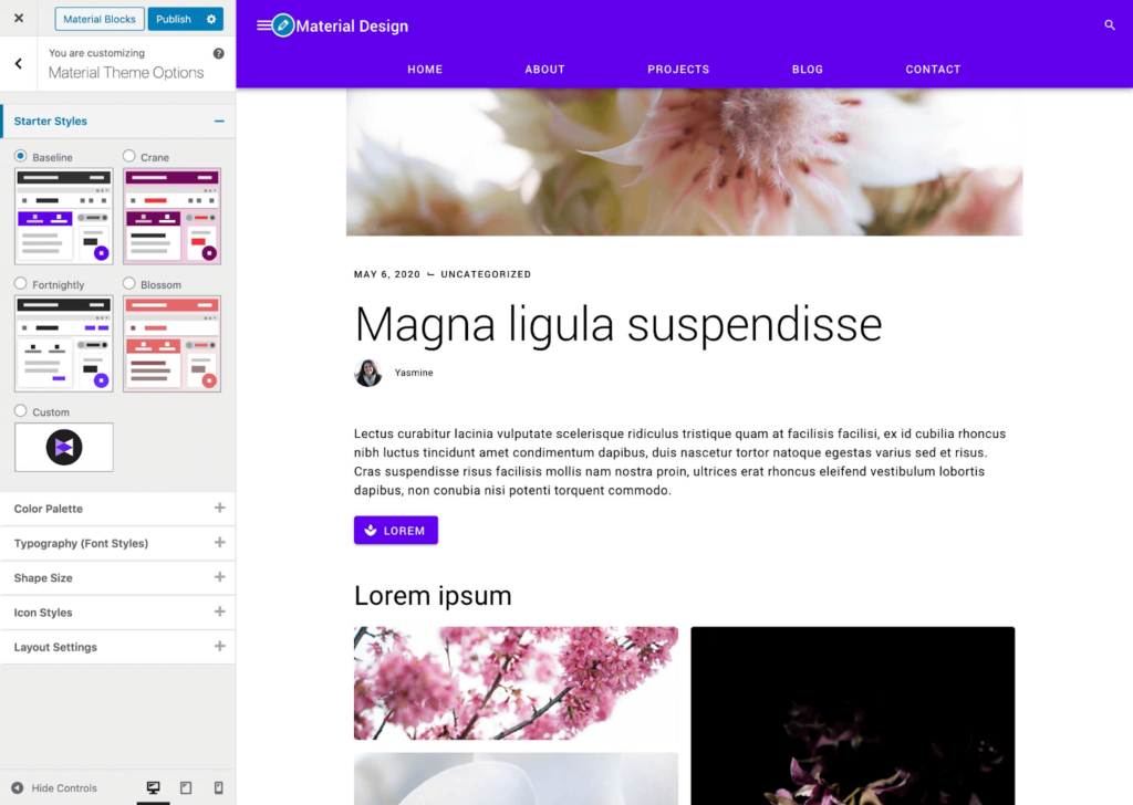 Les options de conception personnalisées dans le plugin Material Design