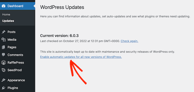 Come abilitare gli aggiornamenti automatici in WordPress