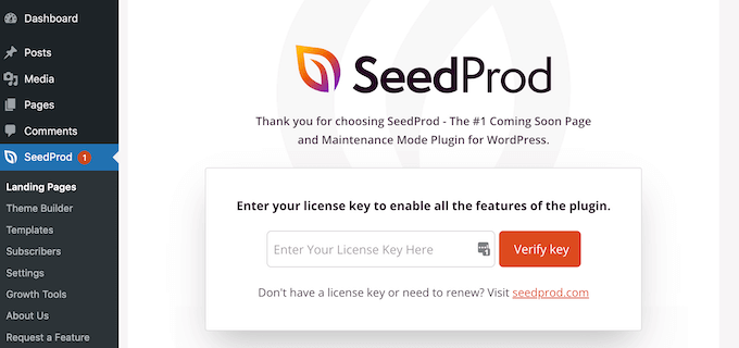 SeedProd 라이센스 키 입력